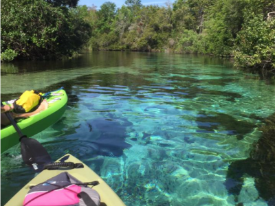 Kristen M. kayaking in beautiful Tampa!